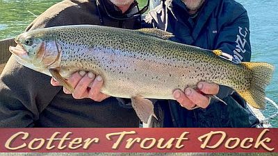 White River fishing report by Cotter Trout Dock - printed from North Texas  e-News