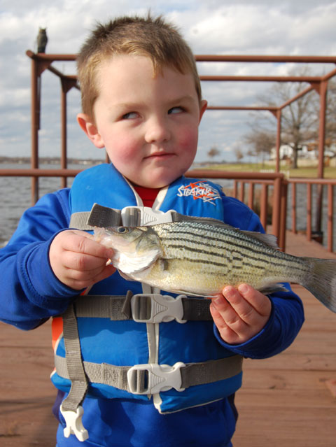 Freshwater drum, yellow bass: overlooked and plentiful - North Texas e-News