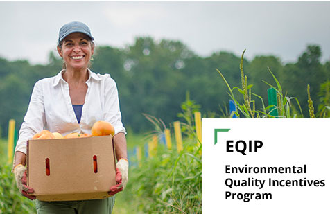 nrcs eqip payment rates 2022 nrcs eqip payment rates 2022