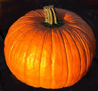 Northside Church of Christ Fall Festival Oct. 28 - North Texas e-News