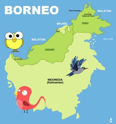Friends of Hagerman invite the public to Second Saturday ZOOM presentation:  Borneo – All the 'B' birds and more - North Texas e-News