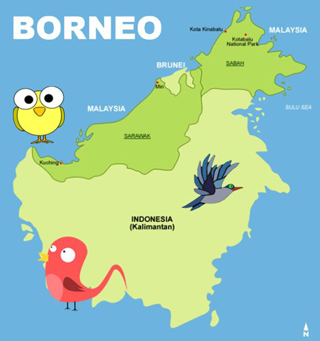Friends of Hagerman invite the public to Second Saturday ZOOM presentation: Borneo – All the 'B' birds and more - North Texas e-News Friends of Hagerman invite the public to Second Saturday ZOOM presentation: Borneo – All the 'B' birds and more - North Texas e-News