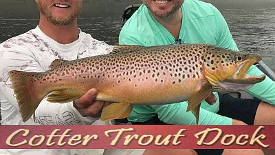 White River fishing report by Cotter Trout Dock - printed from