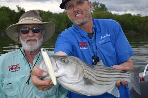 Stripers hitting topwaters at Lake Texoma - North Texas e-News