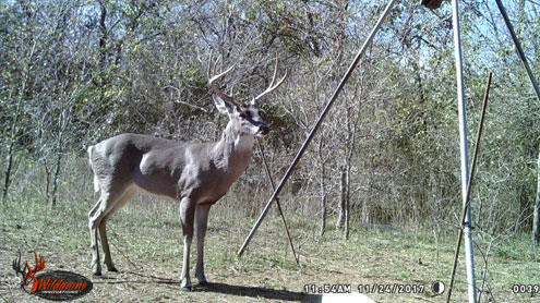 Time To Fill The Feeders North Texas E News