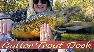 White River Fishing report by Cotter Trout Dock - North Texas e-News