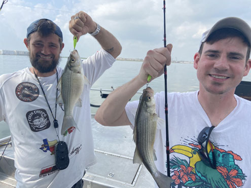 Not all white bass 'up the creek' - North Texas e-News
