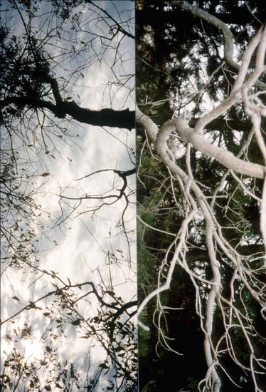 Amon Carter Museum Presents Barbara Crane Challenging Vision North Texas E News