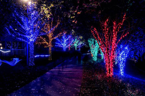Christmas Light Show Near Me 2022 Vitruvian Park Saturday Night: Vitruvian Lights Hosts Special Performance By Dallas String  Quartet - Printed From North Texas E-News