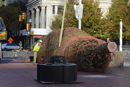Sundance Square Christmas Tree Arrival Kicks Off Holidays