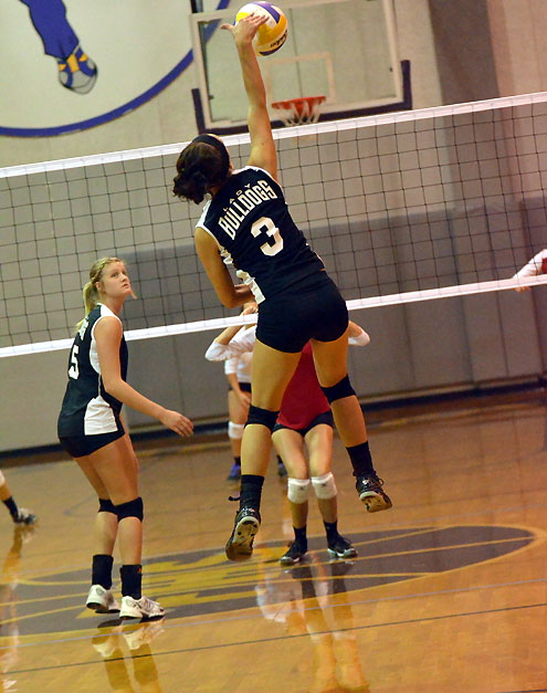 Farmersville Volleyball Tournament bracket play begins Saturday - North