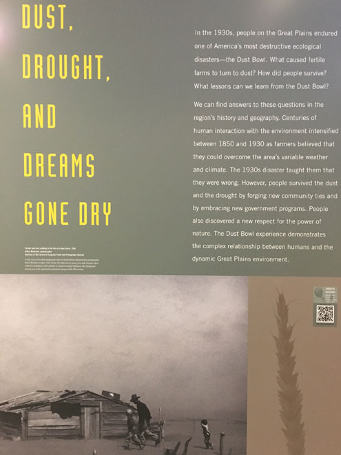 The dust bowl essay