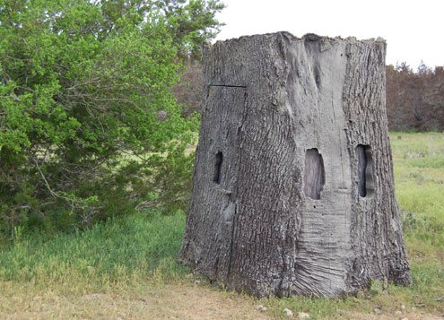 this is a nature blinds tree blind if you walked this is a nature blinds tree blind if you walked