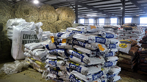 AgriLife Extension helping with sheltering small, large animals ...
